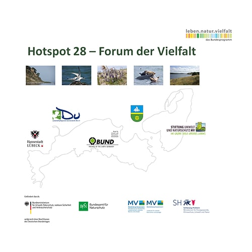 Mehr über das Forum der Vielfalt