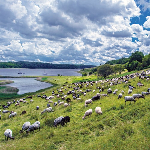 Mehr über die Naturräume